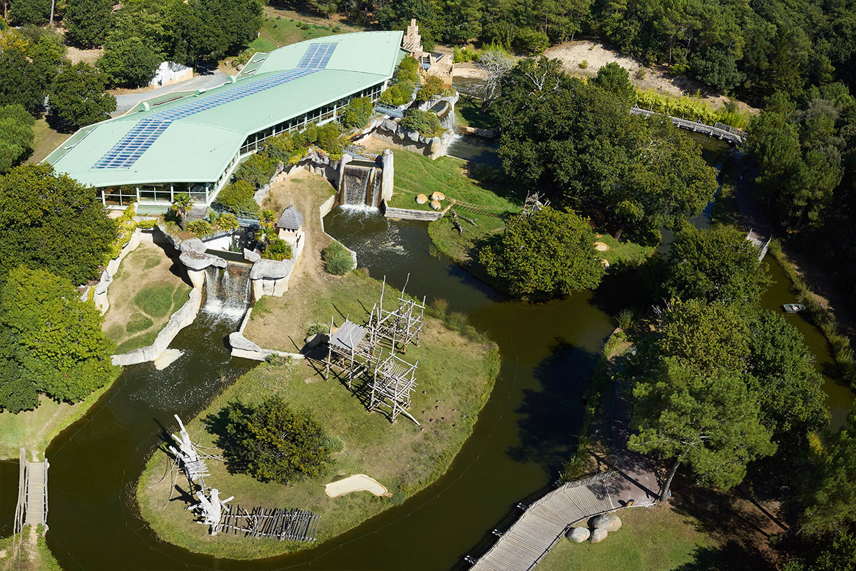 Espace grands singes depuis le ciel au zoo de la palmyre