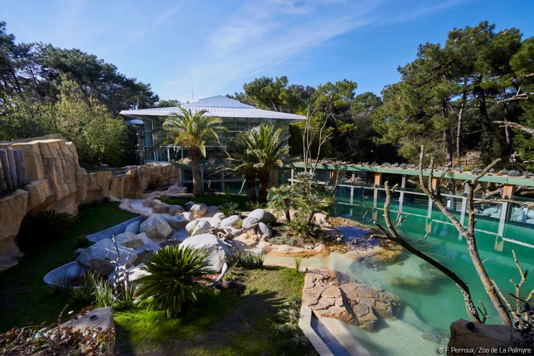 Le bassin des loutres géantes au zoo de la palmyre