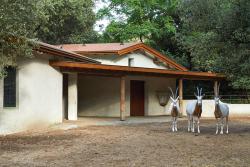 Rénovation du bâtiment des algazelles zoo palmyre