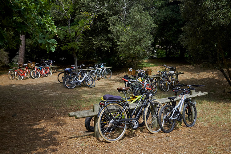 Parking à vélo Zoo de la Palmyre