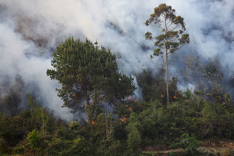 Incendie à Madagascar sur le programme Helpsimus