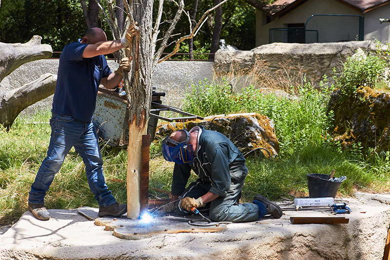 Technicien au Zoo de La Palmyre