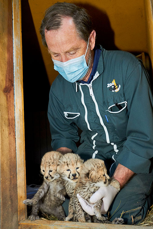 Vétérinaire au zoo de la palmyre