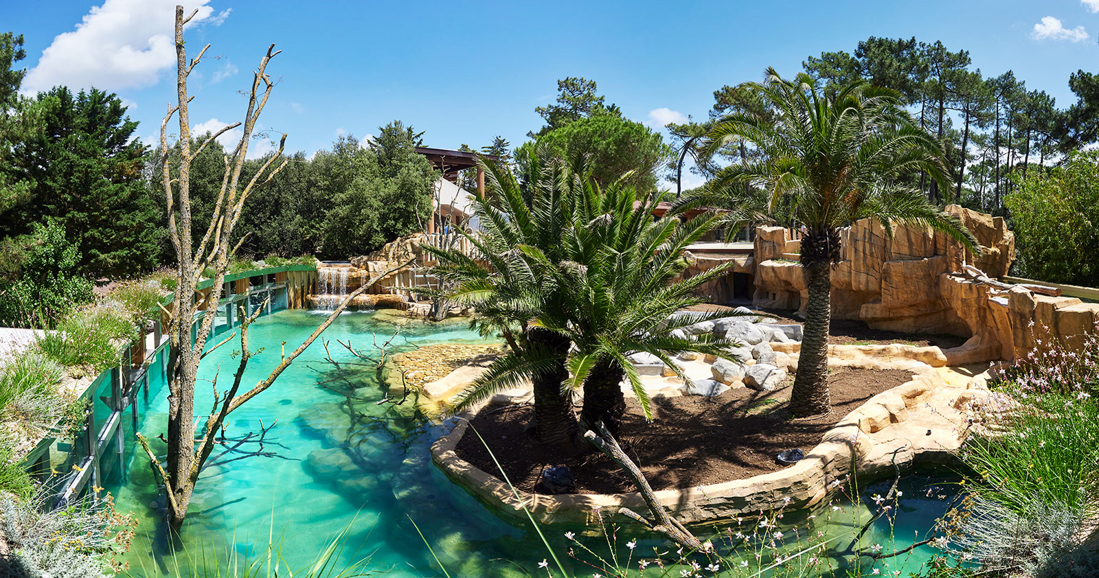 Bassin des loutres géantes au Zoo de la Palmyre