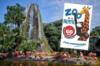 pass 60 ans zoo de la palmyre